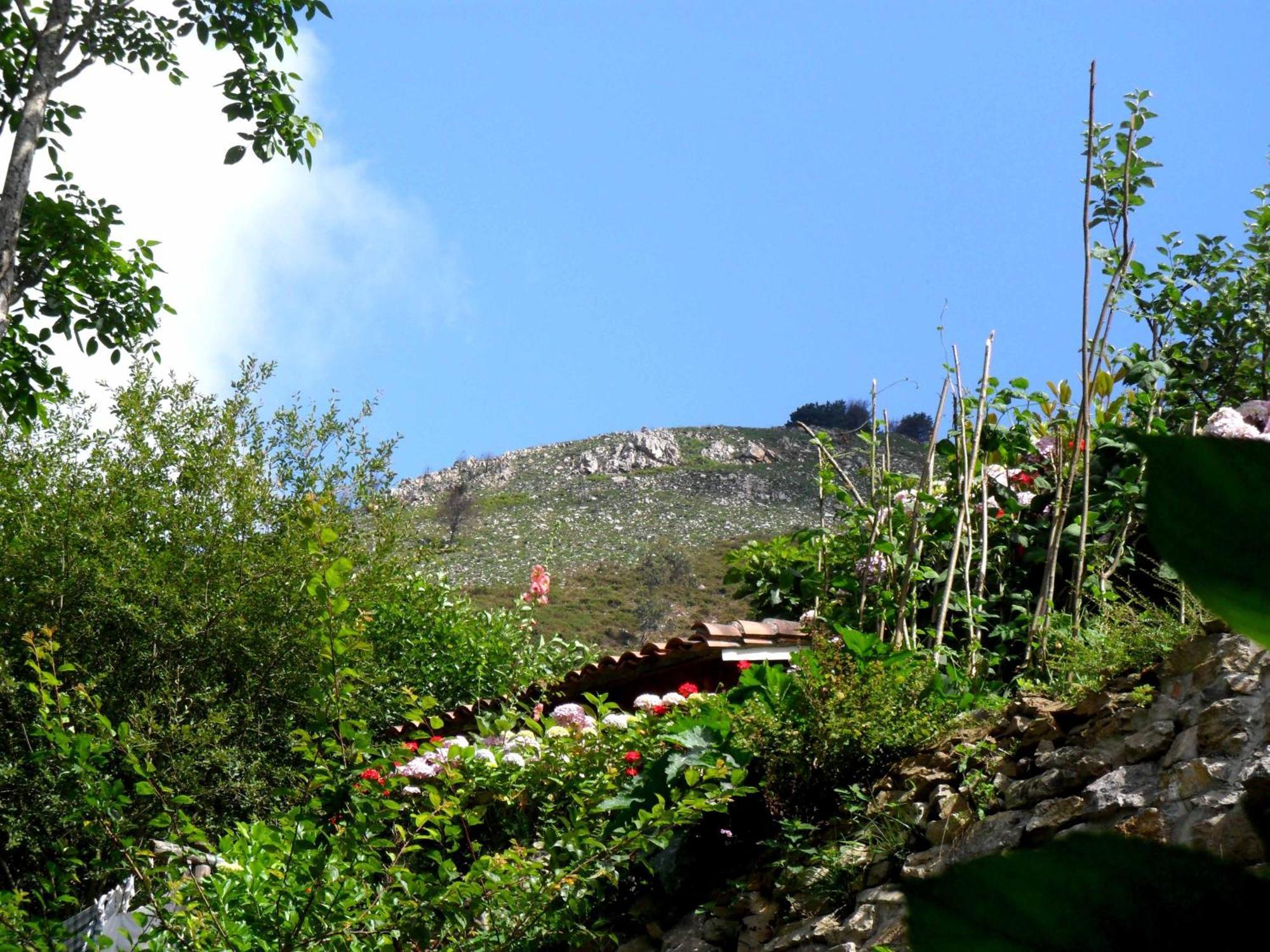 Casa Rural La Posada Del Alba Alea Exteriér fotografie