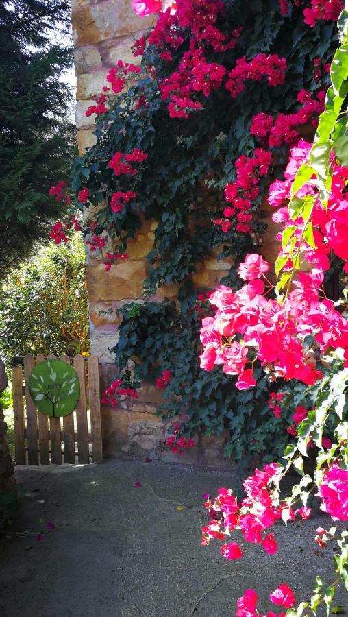 Casa Rural La Posada Del Alba Alea Exteriér fotografie